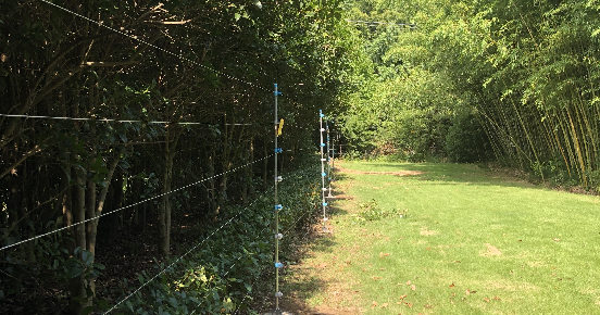 上海实发电子高端脉冲电子围栏，守护上海崇明滨江隔离酒店，为社会面全面清零助力